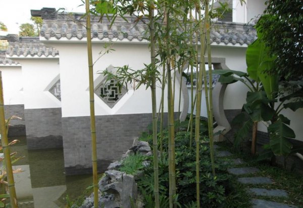 竹子风水禁忌及说法