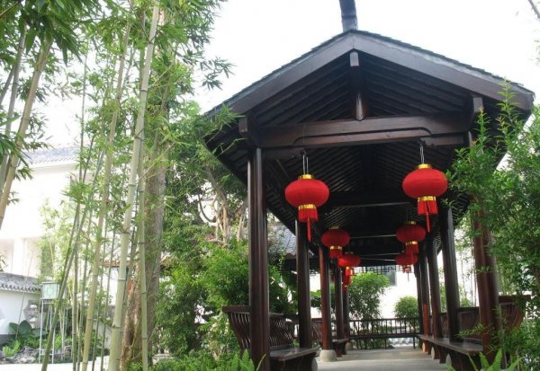 竹子风水禁忌及说法