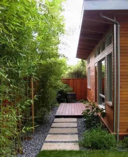 竹子风水禁忌及说法