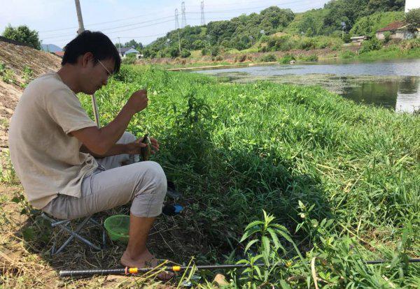 夏天钓鱼用什么味型的饵料