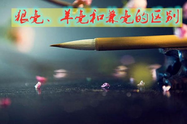 狼毫羊毫兼毫的区别初学者毛笔狼毫和兼毫哪个好