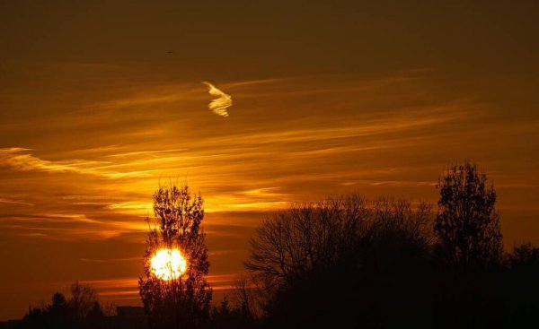 婚姻到了尽头聪明女人应该怎么做