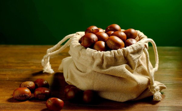 栗子干了硬了怎么办