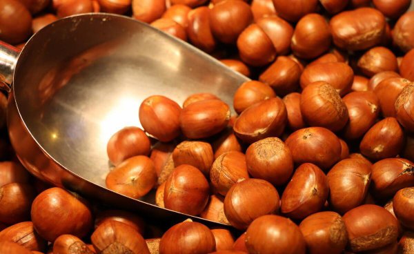 栗子干了硬了怎么办