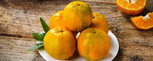 柑是寒性还是热性的解析
