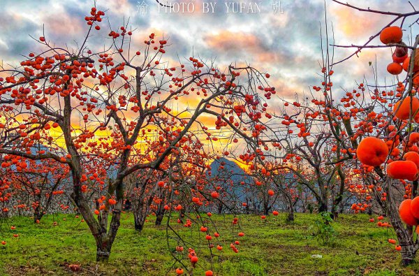 桂林是哪个省的景区