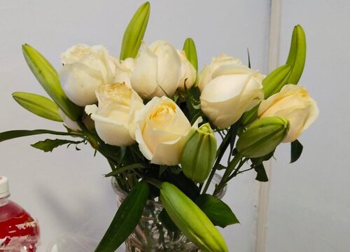 玫瑰花的寓意和象征