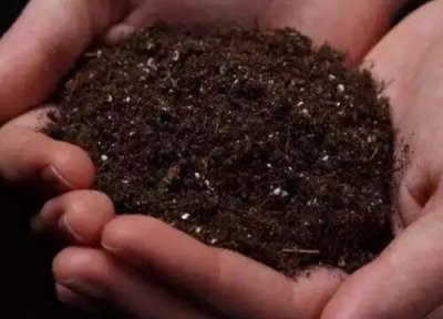 自己在家怎么配置植物营养土 营养土配置常用原料有哪些