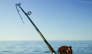 怎么区分鱼竿的好坏 如何分辨鱼竿质量的好坏