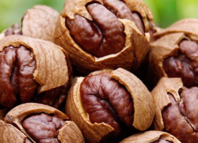 鲜核桃冷冻保存 鲜核桃可以冷冻保存吗