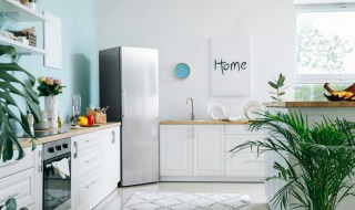 冰箱怎么选择好看些 冰箱如何选择好看些