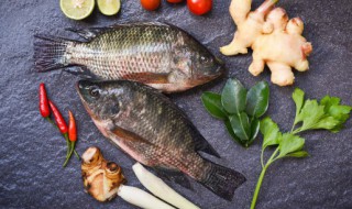 常吃鲫鱼的好处和坏处 常吃鲫鱼对人有哪些好处和坏处呢
