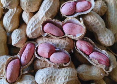 红皮花生泡水会褪色吗 泡水后会掉颜色是正常现象吗