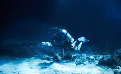 海里的恐龙叫什么名字 存在过后灭绝的五大海洋恐龙种类