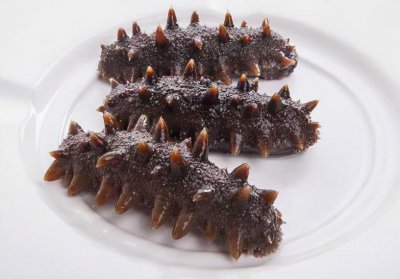 吃海参的禁忌人群 这6类人海参不能随便吃