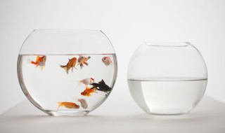 鱼缸放在卧室对面可以吗 鱼缸对着卧室门可以吗