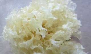 白木耳可以煮过夜吃吗 白木耳能不能煮过夜食用呢