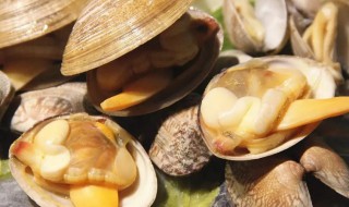 贝类海鲜的做法 贝壳类海鲜的做法