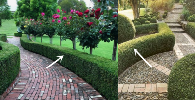 农村庭院绿化布置设计 庭院可以考虑的4种布置格局