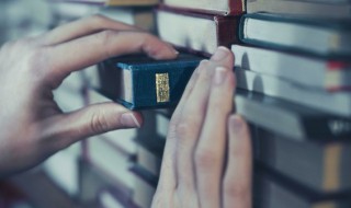 马赫环数量代表什么 马赫环数量代表啥意思