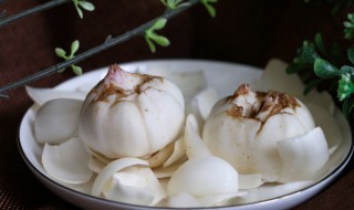 新鲜百合储存方法 新鲜百合怎么保存