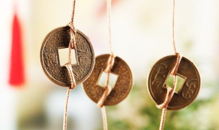 属牛家里摆什么物件聚财 属牛人家里摆哪些物品旺财