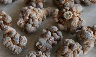 三七怎么分辨好坏 如何辨别三七的好坏