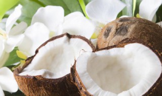 孕妇可以喝椰汁吗 孕妇能不能饮用椰汁