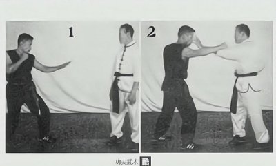 中国武术最凶狠的拳种是什么 南拳的招式图解介绍