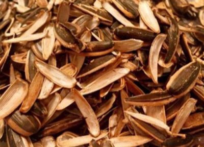 葵花籽壳做肥料 葵花籽壳可以做肥料吗