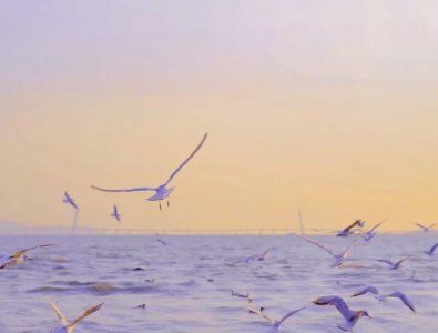 深圳十大免费景点推荐 深圳免费又好玩的12个去处