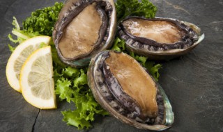 如何将鲍鱼保鲜储存 新鲜鲍鱼怎么保存