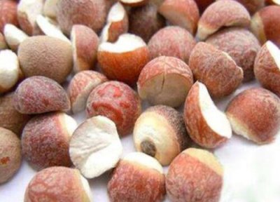 如何挑选芡实适合 网购芡实怎么辨别好不好