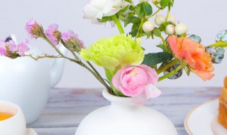 什么花瓶适合摆放客厅 适合摆放到客厅的花瓶有什么