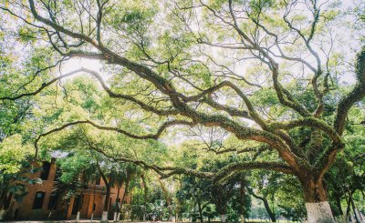 广东大学名单排名榜 2023广东省高校最新排名出炉