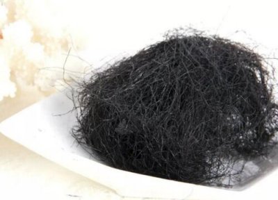 发菜是在哪里生长出来的 发菜是生长在什么地方图片