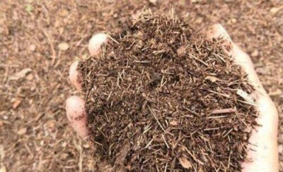 养花用的土怎么消毒杀菌 花卉盆栽培养土的消毒方法