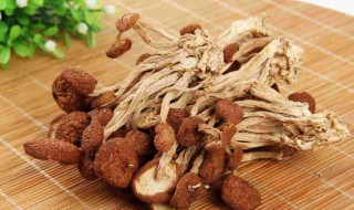 茶树菇过夜了可以吃吗 茶树菇过夜了还能食用吗