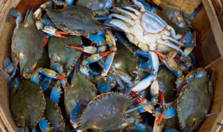 死蟹为什么不能吃？ 死蟹不能吃的原因介绍