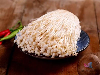 金针菇seeyoutomorrow什么梗 这个名字意思