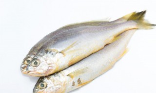 婴儿鱼泥用什么鱼 哪种鱼可以做婴儿鱼泥