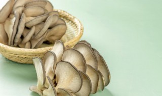 干蘑菇炒肉怎么炒好吃 干蘑菇炒肉的做法