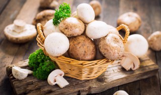 东北蘑菇怎么泡最好吃 东北蘑菇如何泡最好吃