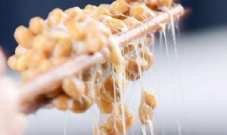 纳豆哪些人不宜吃 纳豆哪些人不能吃