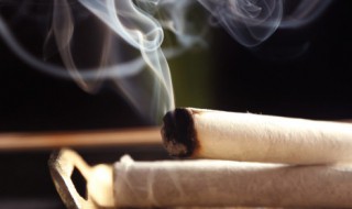 怎么分辨艾柱的好坏 如何分辨艾柱品质的好坏呢