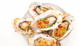 生蚝如何储存保鲜冰箱 生蚝的保存方法