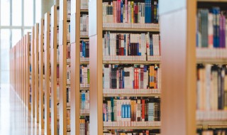 丬字旁的字 丬字旁有什么字