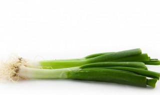 吃大葱的好处和坏处 吃大葱有哪些好处和坏处