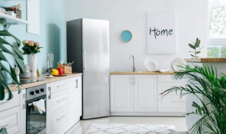 什么菜不能放冰箱 哪种蔬菜不能放冰箱