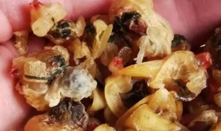 干蛤蜊的吃法 新鲜蛤蜊干正确吃法